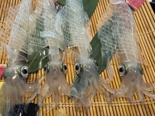vɂ͈