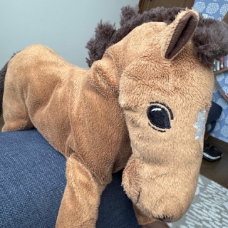 �Ⴄ����������