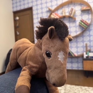 �Ⴄ����������