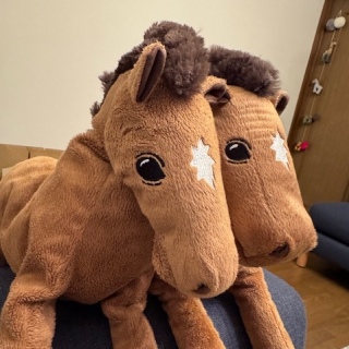 ����1�l��